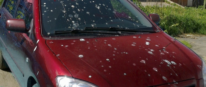 Эксперты выяснили, авто какого цвета птицы «пачкают» чаще