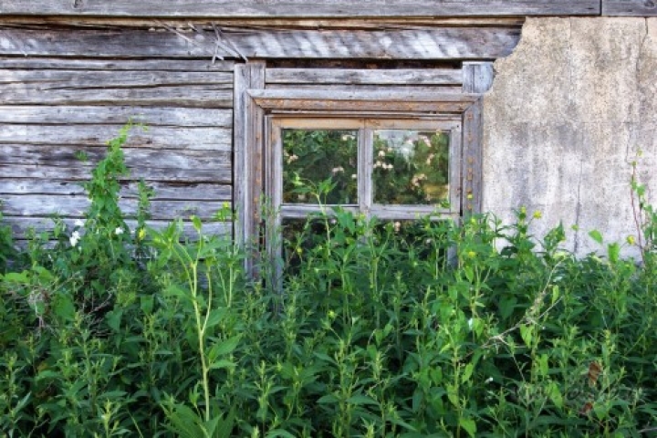 Эксперты: в Латвии в ближайшие годы усилится «эффект окраины»