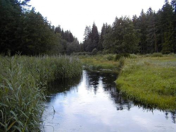 Вода в реках потеплела до +19 градусов