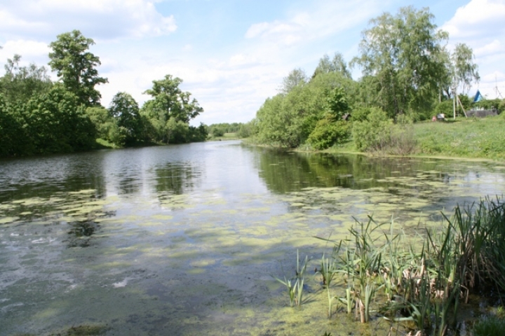 Годовалый малыш чуть не утонул в пруду