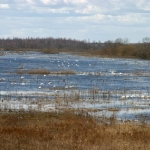 Правительство обсудит критическую ситуацию на озере Лубанас