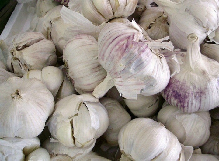 Латвийский ресторан попал в список самых странных ресторанов мира