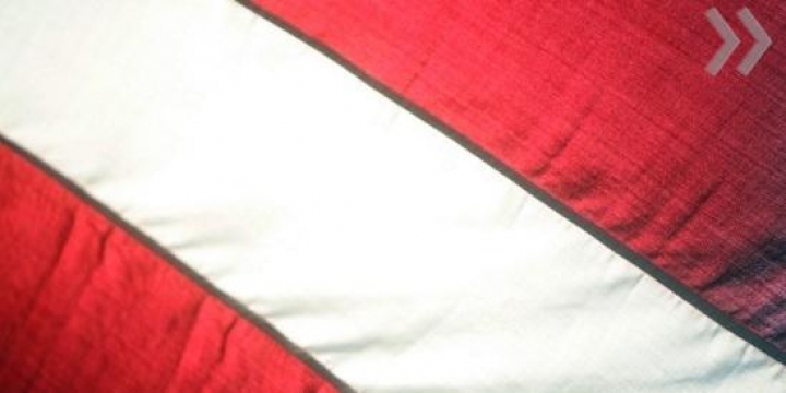 Подкомиссия Сейма договорилась о двойном гражданстве