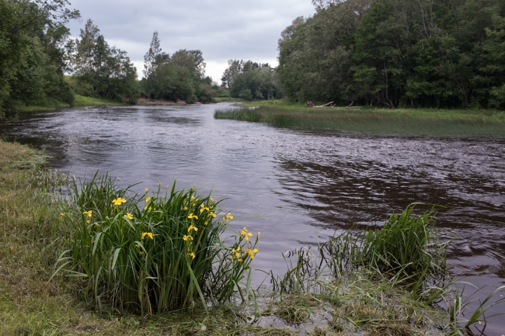 В Лиелупе утонул молодой мужчина