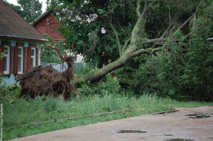 Спасатели 38 раз выезжали на вызовы, связанные с бурей