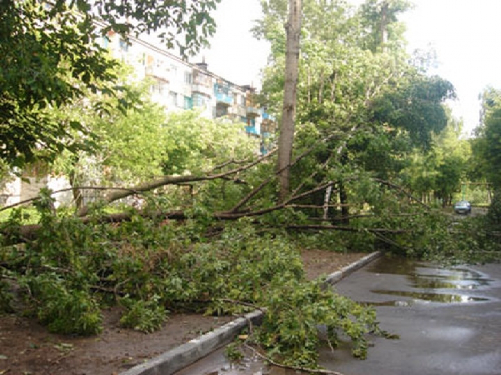 Синоптики отменили предупреждение о разрушительной грозе