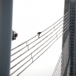 Спасатель ГПСС: первой реакцией на вызов к «скалолазам» бывает гнев