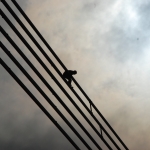 Психотерапевт: люди не умеют отвечать за свои действия (АУДИО)