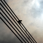 Ванты на Вантовом мосту ночью обмотают колючей проволокой