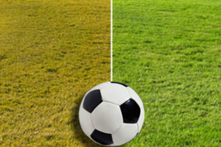 Задержано 16 польских футбольных болельщиков и местных жителей