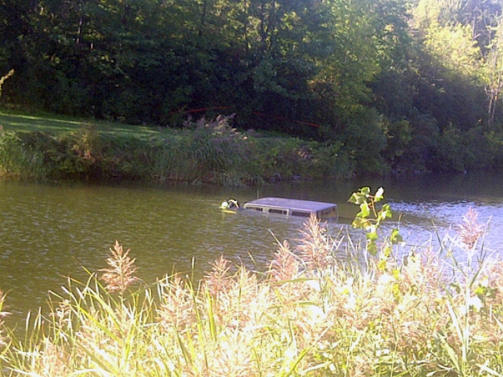 В монреальском парке нашли человеческую голову