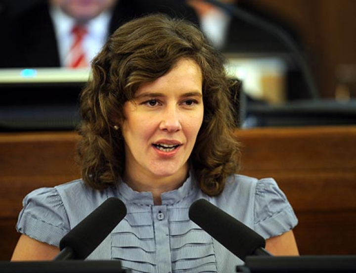 СЗК инициирует референдум о референдумах