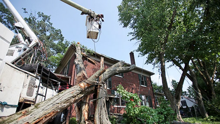 В США шторм убил 17 человек