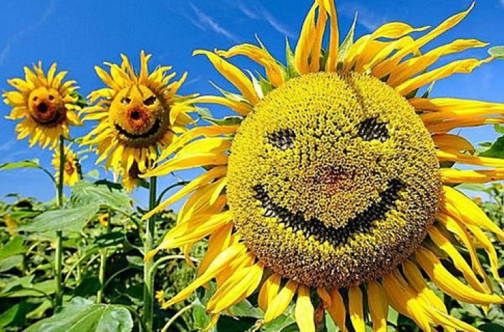 В выходные может быть поставлен температурный рекорд