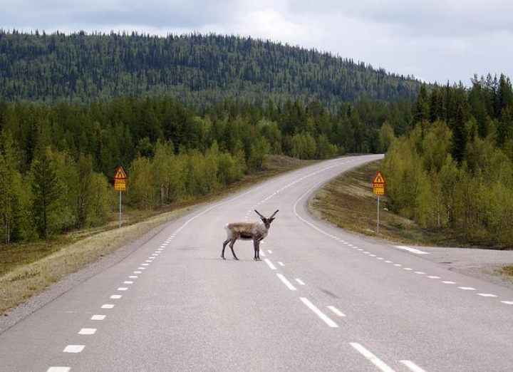 В Швеции погибли трое граждан Латвии