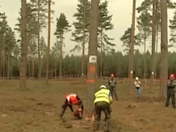 В Белоруссии прошел чемпионат мира среди лесорубов
