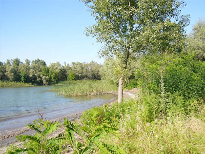 За выходные спасатели подняли тела двух утонувших