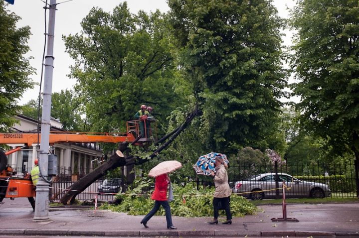 По национальному плану развития подано 118 предложений