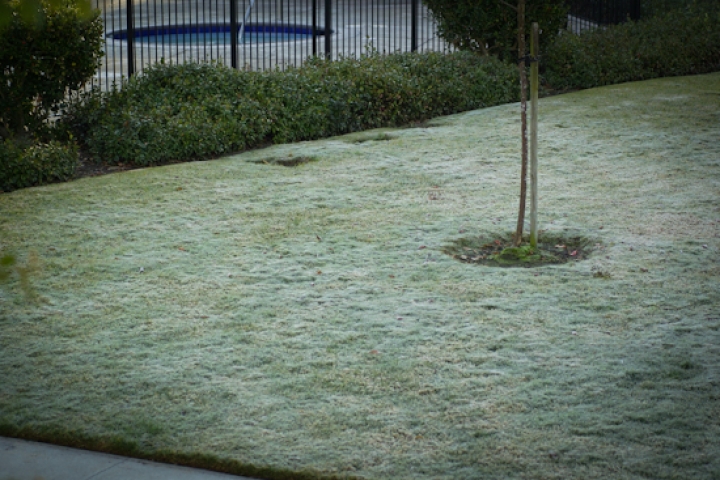 В Эстонии ожидаются заморозки, в Латвии - иней