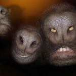 Натасканные на поиск наличных ищейки СГД пока никого не поймали