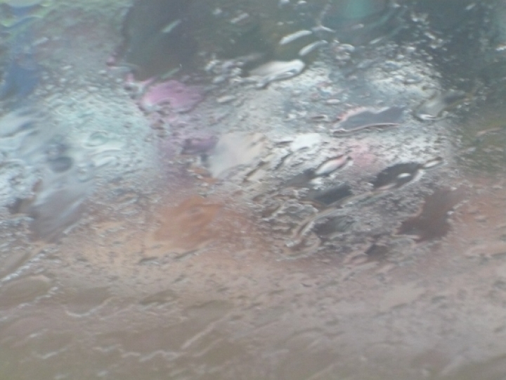 В пятницу синоптики обещают грозы и град