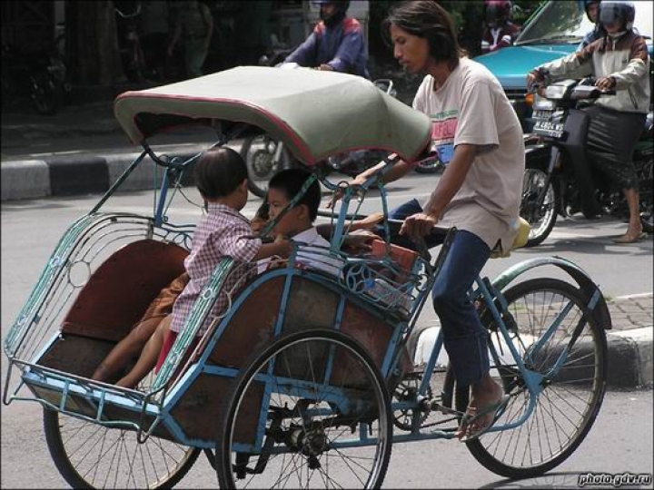 Для велорикш ввели строгие правила