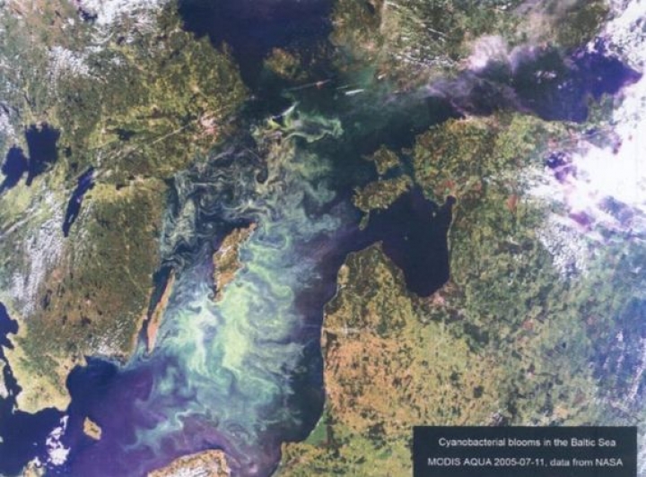 На дне Балтийского моря накапливаются тяжелые металлы (АУДИО)