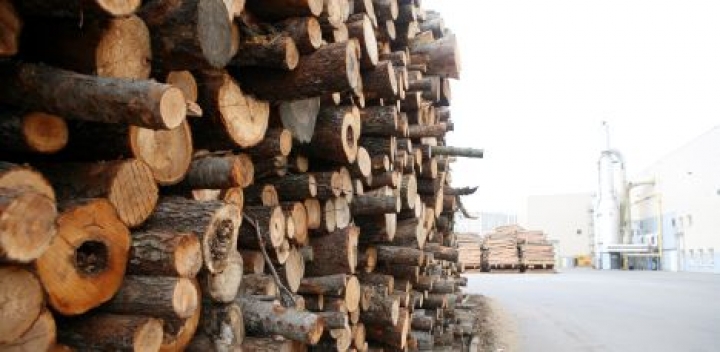 Латвия - вторая по приросту экспорта в ЕС