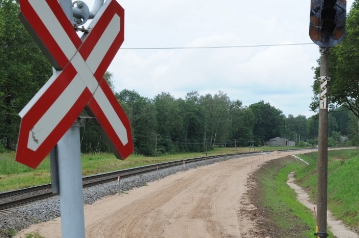 Свиноводы просят компенсацию из-за высоких цен на зерно