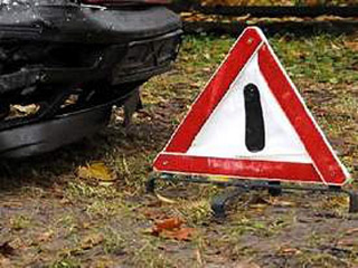 В столкновении микроавтобуса с повозкой пострадало пять человек