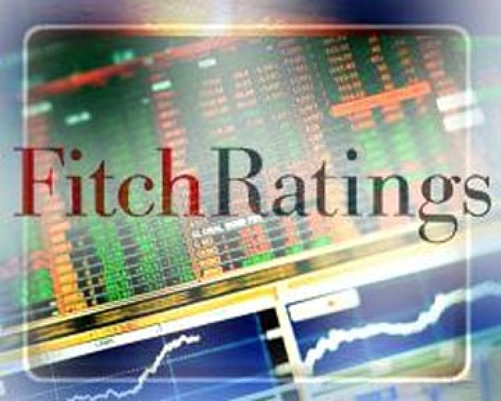 Fitch похвалил Латвию за фискальную консолидацию