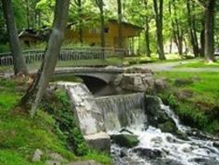 Рига проведет конкурс на лучшую идею «Аллеи Любви»