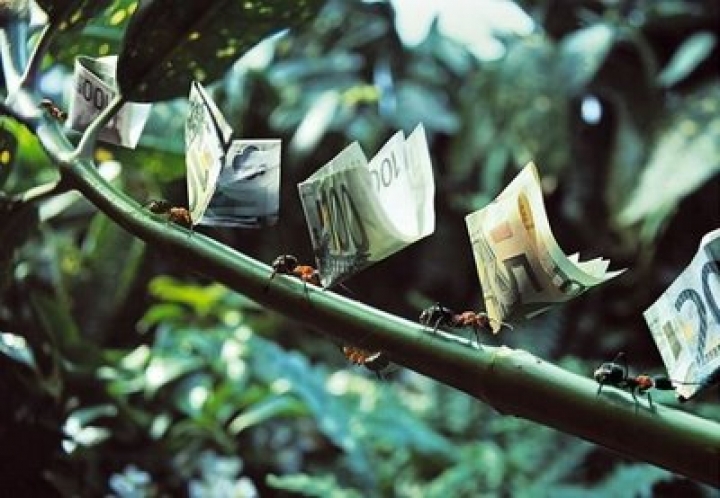 В этом году банки заработали уже сотни миллионов латов