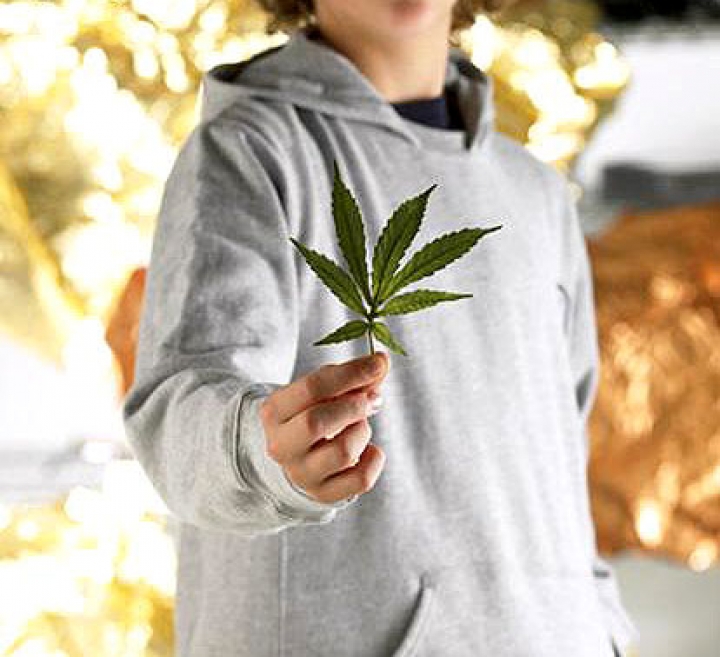 Полиция наткнулась на теплицы с марихуаной