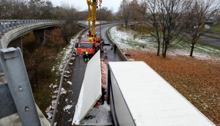 На Островном мосту перевернулся грузовик cо свиными тушами
