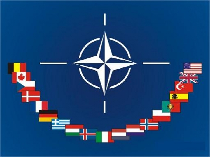 Латвийские депутаты возглавили комитеты Парламентской ассамблеи НАТО