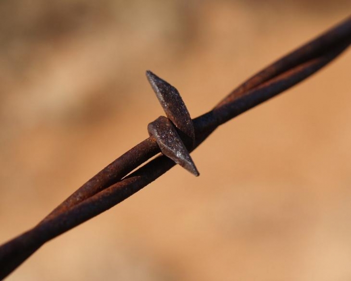 В Нидерландах отменили распродажу нацистской колючей проволоки