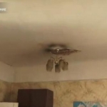 MIX TV. НОВОСТИ СЕГОДНЯ. ВЫПУСК ЗА 12 НОЯБРЯ
