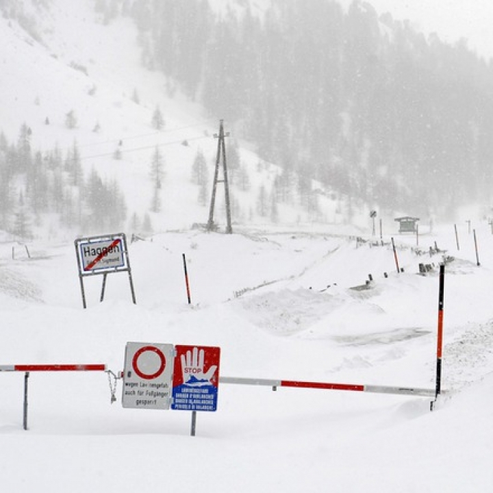В Канаде снежная буря оставила без электричества 120 тысяч домов