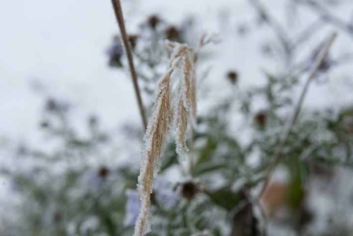 Шесть американцев замерзли на российской трассе