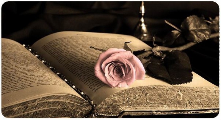 В США издана первая в мире «Библия» для гомосексуалистов