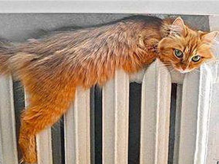 Отопление подорожало почти во всех латвийских городах