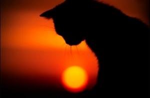 Остановка реактора произошла на АЭС в Южной Корее, утечки радиации нет