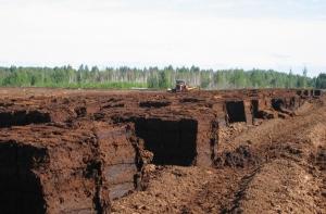 В измельчителе торфа погиб молодой мужчина