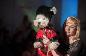 ROYAL CANIN Dino ARENA приглашает на карнавал домашних животных
