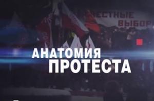 ФСБ отказалась завести дело по «Анатомии протеста»