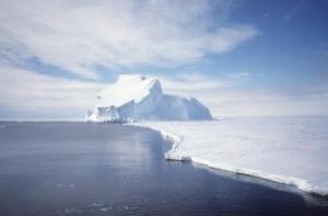 Найдены обломки пропавшего в Антарктиде самолета