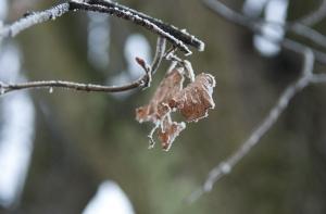 Мороз в Латвии унес жизни 33 человек