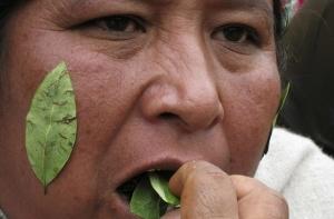 Жители Боливии добились разрешения жевать листья коки