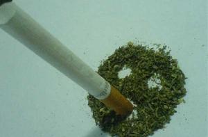 Ученый: бедность вреднее курения марихуаны